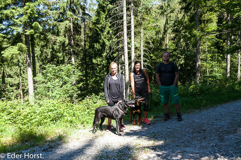 Vatertagsausflug zum Dreisselberg im Bömerwald.