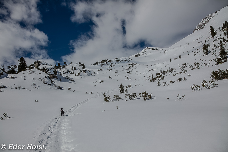 Schneeschuhtour im Nationalpark Hohe Tauern  2016