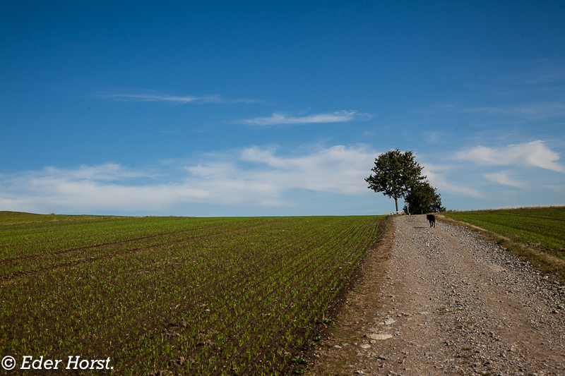 Wandern zur Schwendenschanze in Bad Leonfelden…