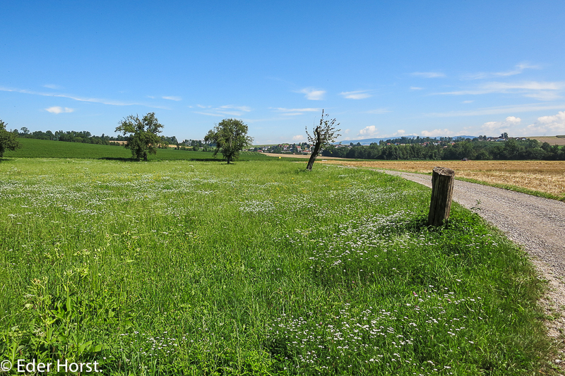 Radtour von Alkoven nach Linz…