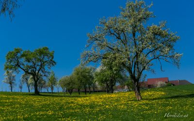 Wandern zur Elisabethwarte…