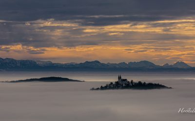 Über dem Nebelmeer …..Blick in die Alpen….