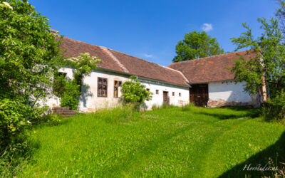 Verlassenes Bauernhaus im Waldviertel.