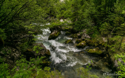 Entlang eines Baches im nirgendwo…hauptsache in der Natur..