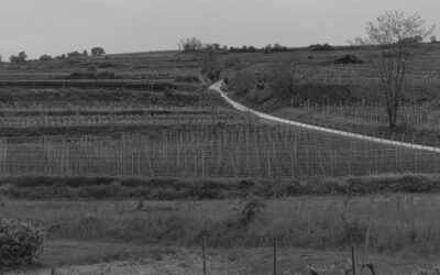 In der Wachau im Frühling unterwegs….