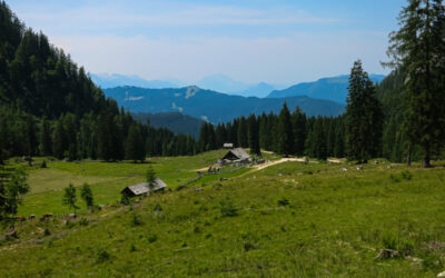 Von Hallstadt durchs Echantal über die Rosalm nach Gosau. Eine tolle Tour ,lanschaftlich großartig. 1000Hm ud 60km ca.