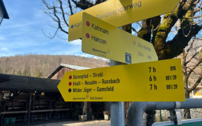 Radeln in der Umgebung von Bad Goisern. Bad Goisern ist ein guter Ausgangspunkt für tolle Touren.