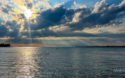 Radeln beim Bodensee. Von Bregenz nach Meersburg. Dieser Radweg gehört zu den schönsten in Deutschland. Retour gehts dann mit dem Zug.