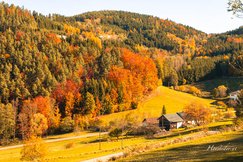 Der 3Gipfelweg 07 mit Klimaanpassungsthemen verläuft im Gemeindegebiet von St. Leonhard bei Freistadt. Der Weg hat eine Länge von 21,3 km und ist für ambitionierte Wanderer als Tagestour geeignet.