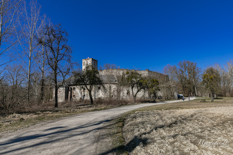 Die Burg Spilberg war einst ein bedeutendes Wasserschloss und lag ursprünglich auf einer Donauinsel, die zum Gemeindegebiet von Enns gehörte.